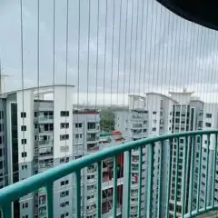 Pigeon safety net and invisible grill service booking